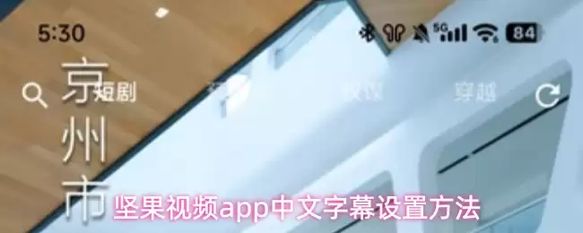 坚果视频app中文字幕设置方法
