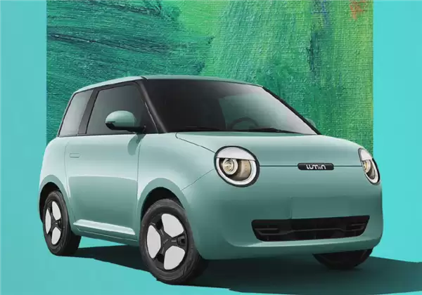 长安糯玉米提车4天后轮抱死 女车主：我以为车着了