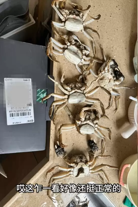 AI伪造大闸蟹死亡视频诈骗被识破 商家维权成功获退款