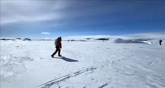 新东方员工痛诉996困境：呼吁尊重劳动权益