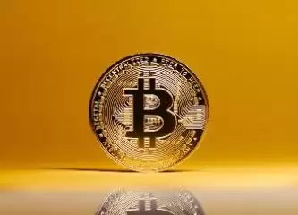 TLM币是什么币种? TLM币是什么币种?