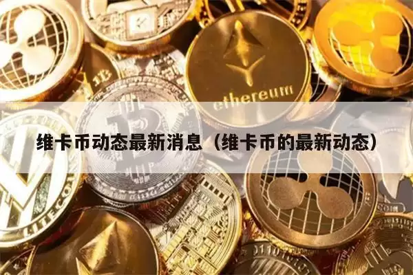 维卡币动态最新消息(维卡币的最新动态)