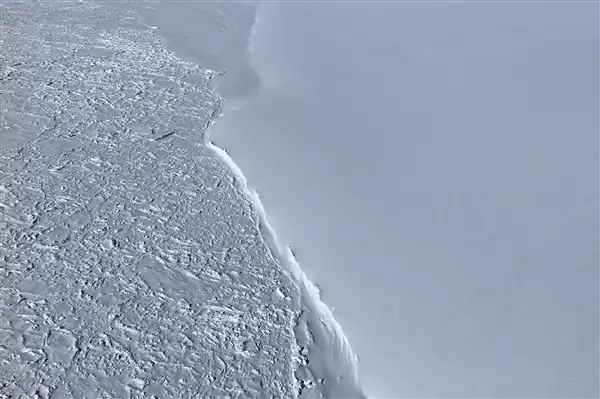 黑龙江水库冰面下发现13匹冰冻马 主人:马扎堆喝水落水淹死