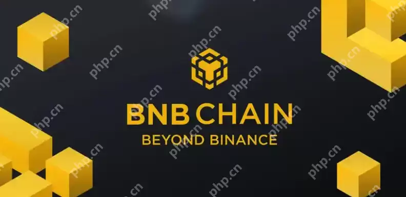 币安链上是啥意思?币安链上怎么注册安装? - 本站