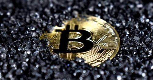 pig币猪币最新消息-第1张图片-区块家园 pig币猪币最新消息-第1张图片-区块家园