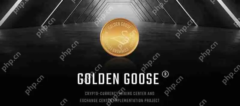 GOLD是什么币种？GOLD/黄金鹅币项目全面介绍