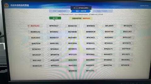 梦想家哨兵模式实测：全天候守护，停车更安心