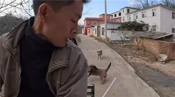 骑车怕被狗追?男子发明两代车载打狗棒 网友:实用又搞笑