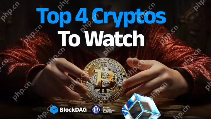 并非所有顶级趋势加密项目都是为了长期而建立的，但是其中一些开始与其他项目分开。