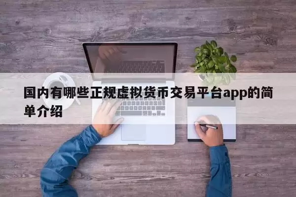 国内有哪些正规虚拟货币交易平台app的简单介绍