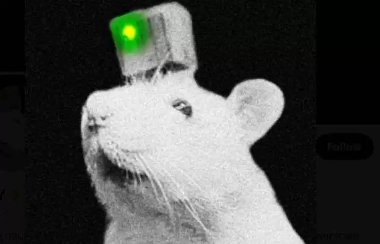 PYTHIA是什么币种?