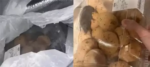 山姆致歉“麻薯盒内有活老鼠”:初步判断在取货点放置期间 被周边虫害偶然侵入所致