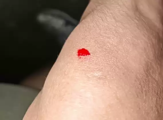 懂车帝刮洋葱称尊界S800音响罩设计危险！车主纷纷肉身开测反驳