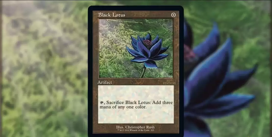 万智牌黑莲花拍出300万美元创纪录