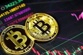 派币认证视频操作教程下载? 派币认证视频操作教程下载?