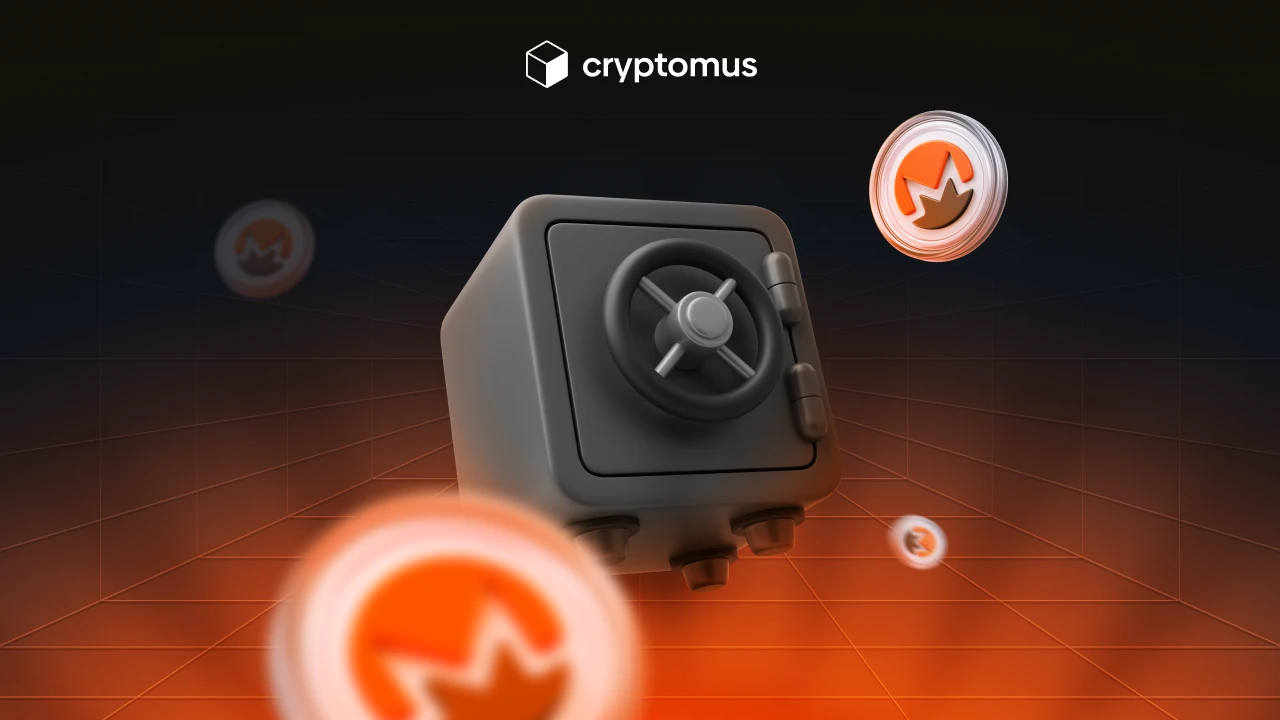 Privacy Coins and the Battle for Financial Anonymity