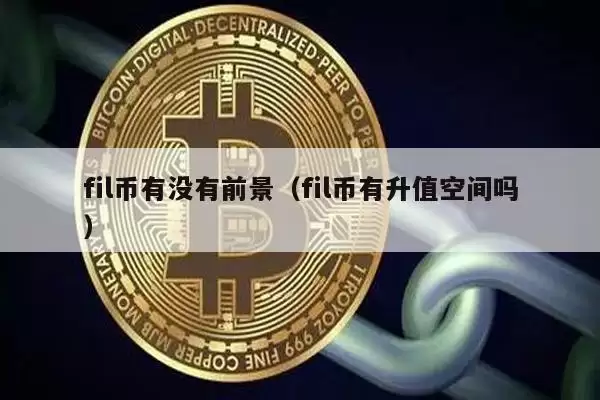 fil币有没有前景(fil币有升值空间吗)