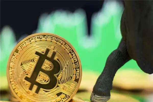 虚拟货币合约交易平台