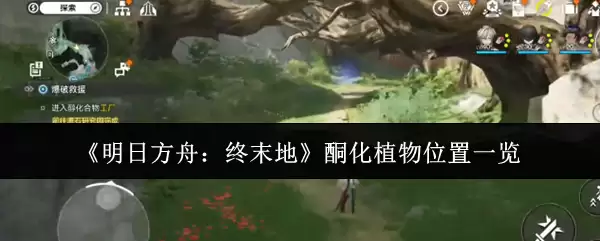 《明日方舟：终末地》藓化植物位置一览