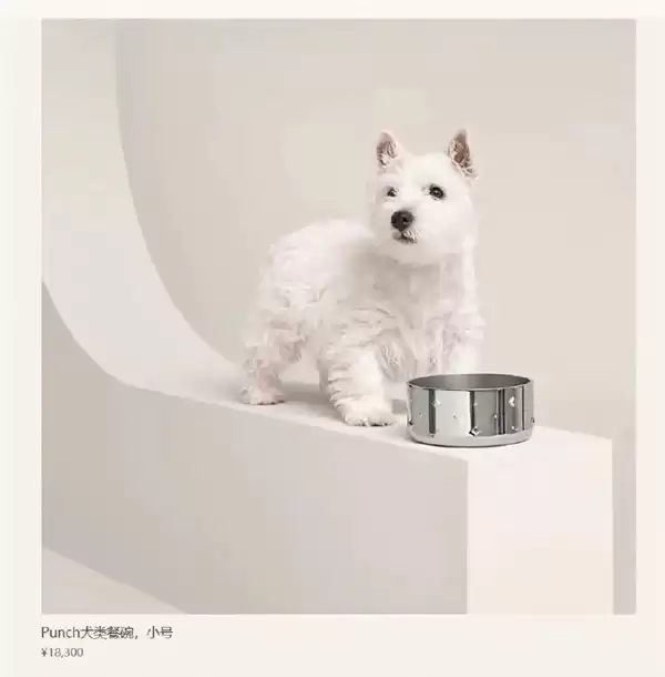 LV、爱马仕布局宠物用品赛道:狗窝售价约50万元