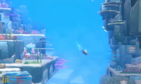 潜水员戴夫多少钱 潜水员戴夫最新价格一览