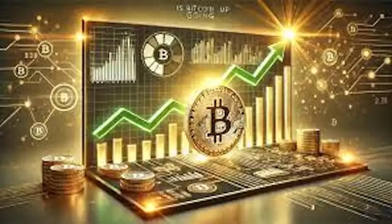 刚开始玩币适合买什么?这三类项目风险低回报稳 - 本站