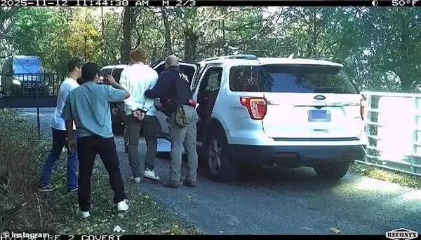 千万粉丝网红为博眼球烧掉价值40万美元的法拉利：却因逃税被抓