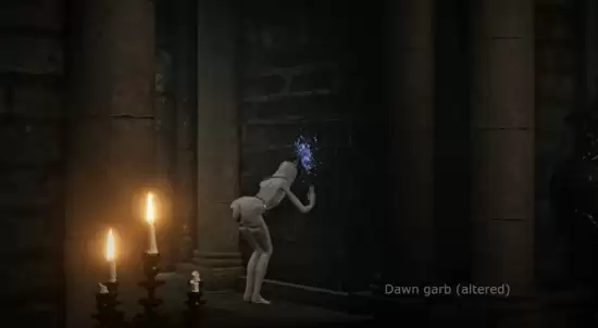 艾尔登法环新DLC送葬者多皮肤互动引热议