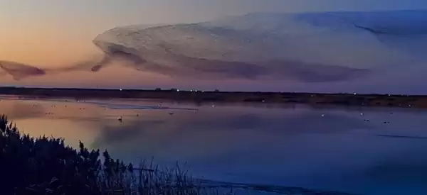 数十万只候鸟迁徙似巨鲲 网友：庄子逍遥游里“北冥有鱼”是真的