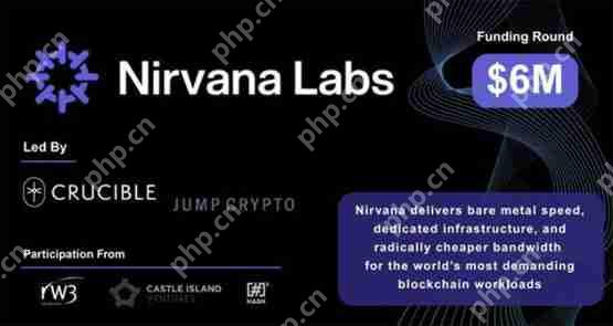 喜讯nirvana获600万美元种子轮融资!旨在解决web3高度中心化的云端运算问题