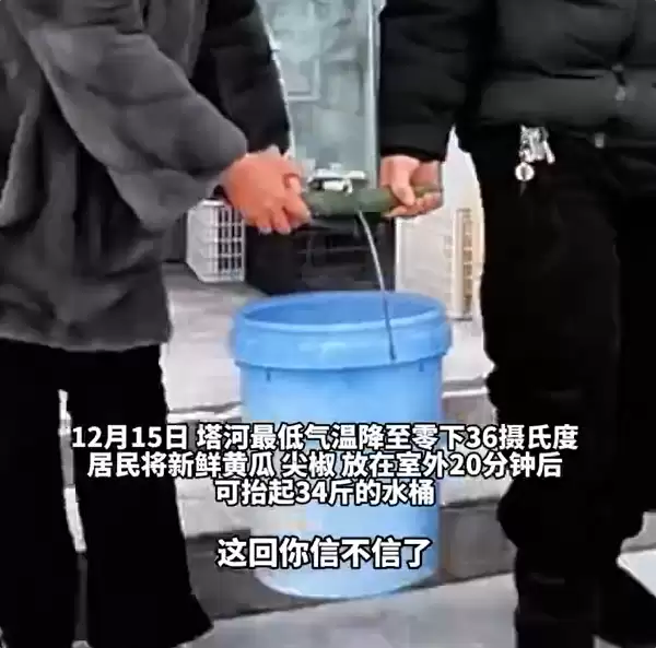 黑龙江冬天万物皆可速冻:黄瓜室外放20分钟能抬34斤水