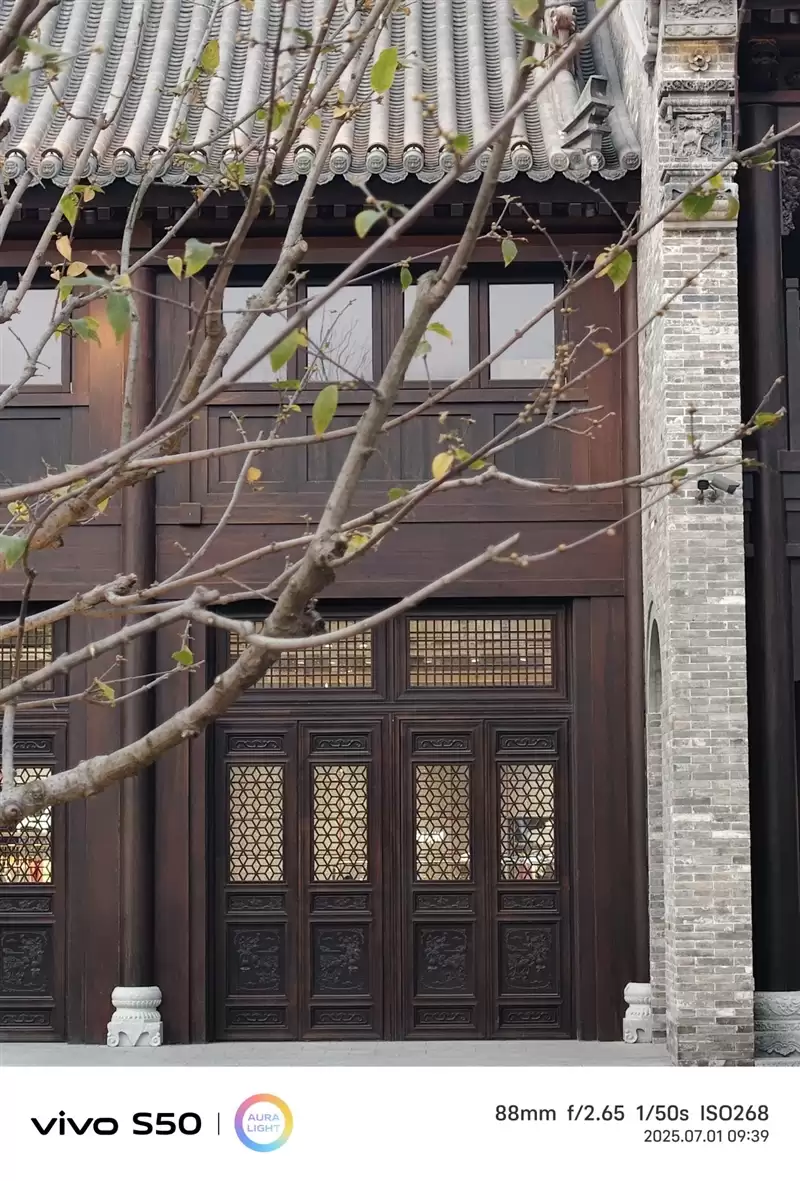 无感握持、出片惊艳！vivo S50首发全面评测：颜值与实力并存的全能旗舰