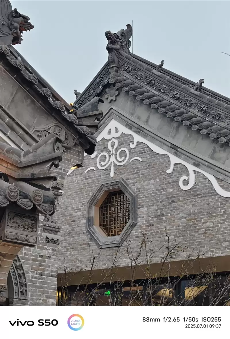 无感握持、出片惊艳！vivo S50首发全面评测：颜值与实力并存的全能旗舰