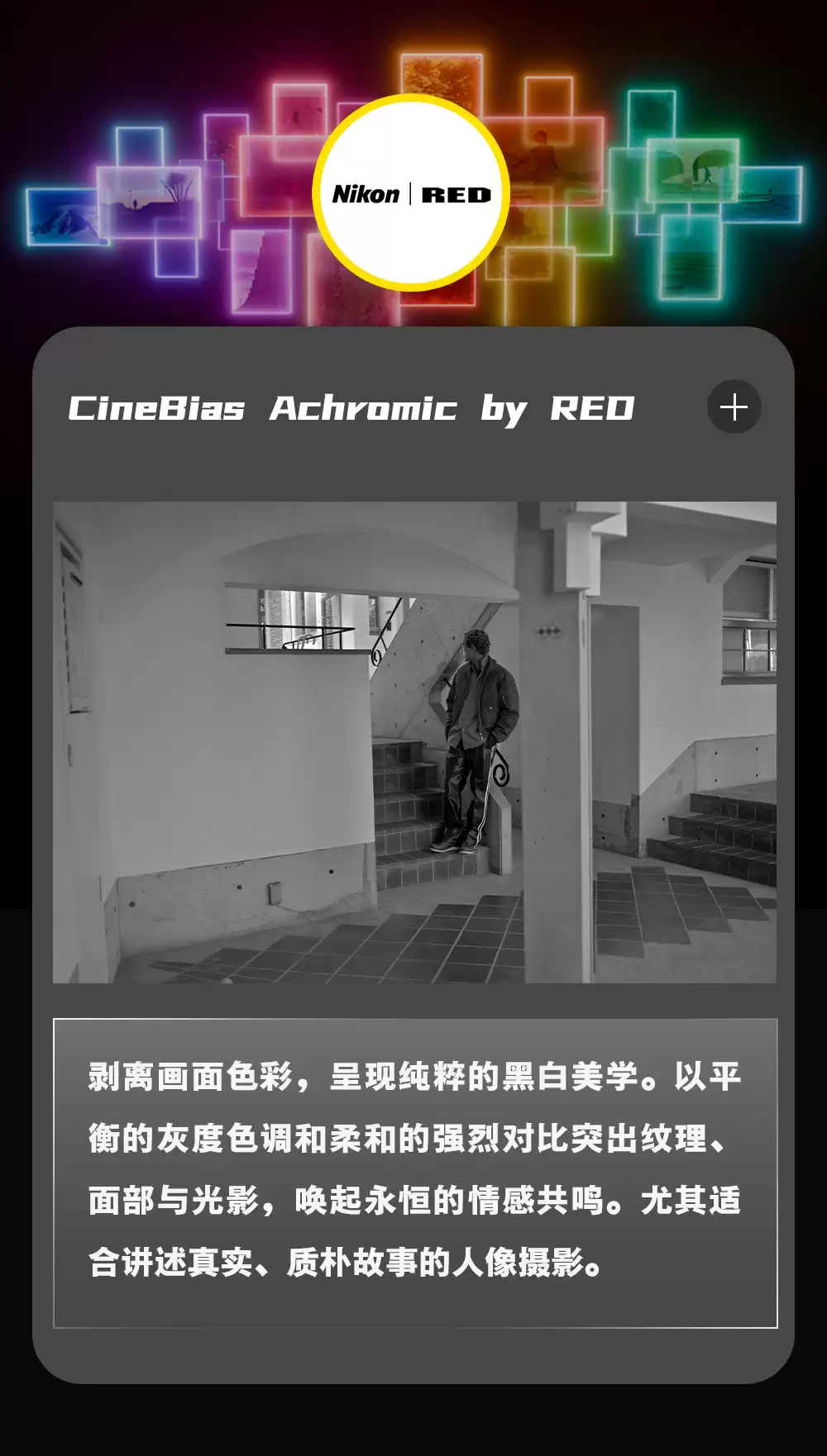 尼康与 RED 携手打造的电影感色彩方案上线