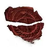 艾尔登法环黑夜君临遗物全收集:裂开的封蜡获取方式详解