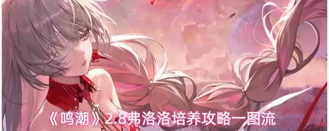 《鸣潮》2.8弗洛洛培养攻略一图流