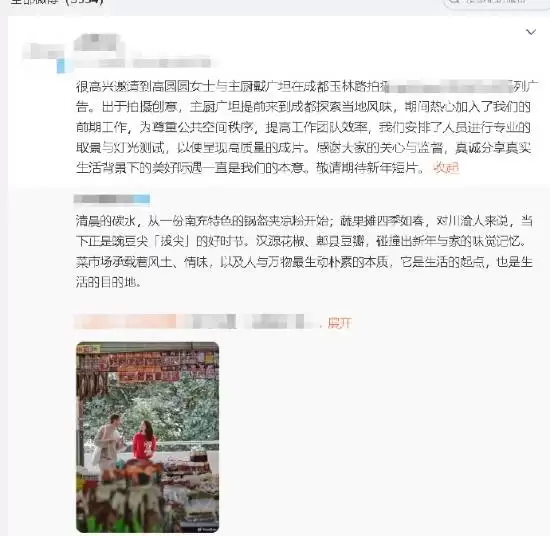 网传高圆圆综艺用替身 品牌方澄清:是光替 也非综艺