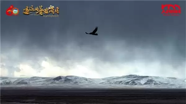 《遥远的普若岗日》上映背后，是绿联NAS私有云在海拔5000米上的默默守护