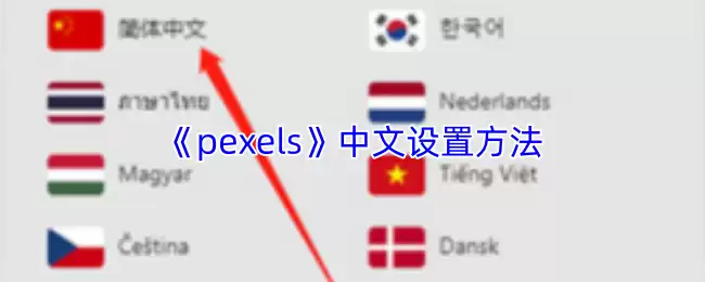 《pexels》中文设置方法