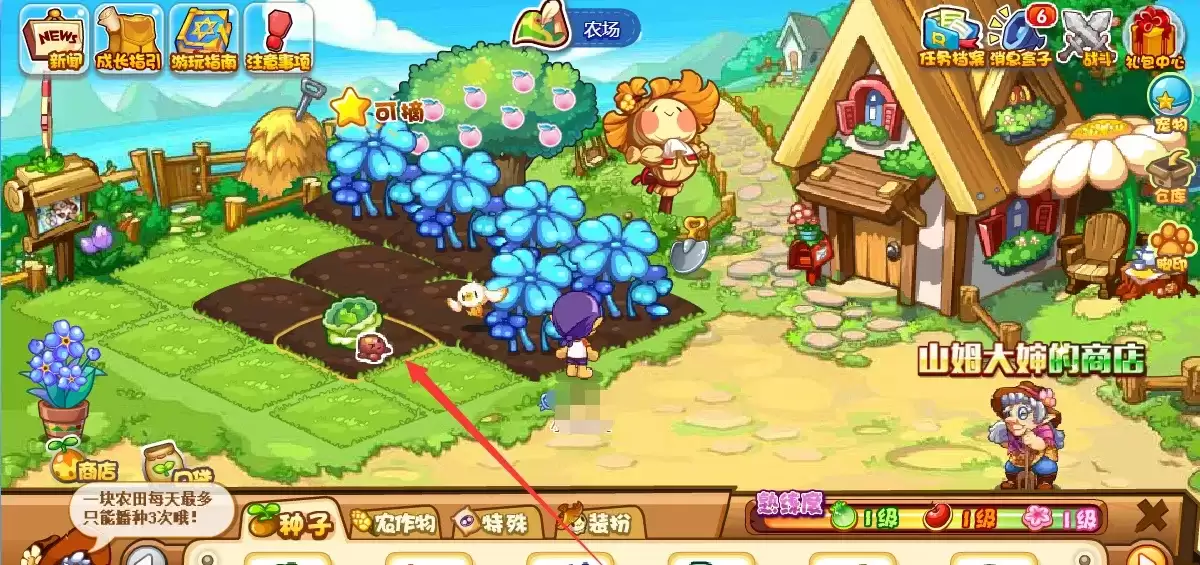 洛克王国白菜种子在哪里买2026