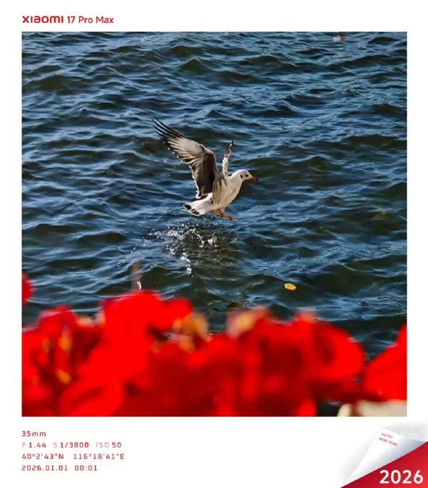 小米澎湃OS 3三款元旦限定水印来了!水墨画风格 清新淡雅