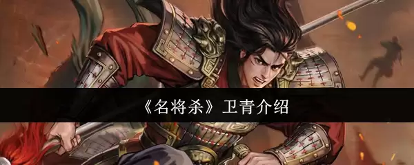 《名将杀》卫青介绍