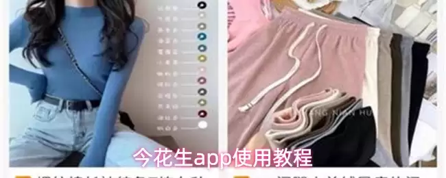 今花生app使用教程