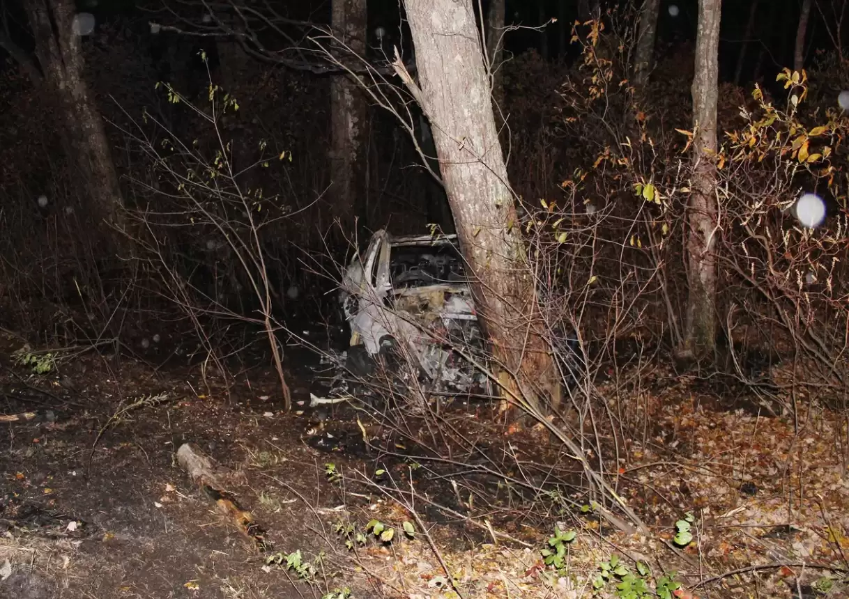 彭博：特斯拉车门打不开已在美国造成至少15人身亡