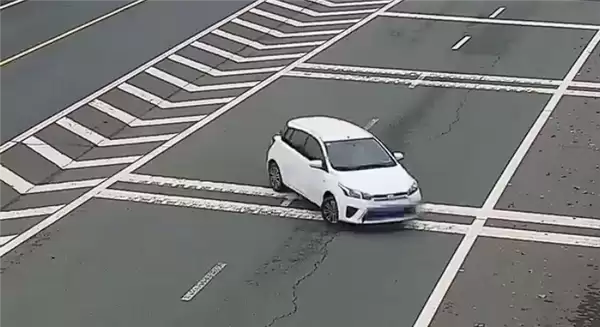 女子开车逆行上高速反怪导航:我没地方走了