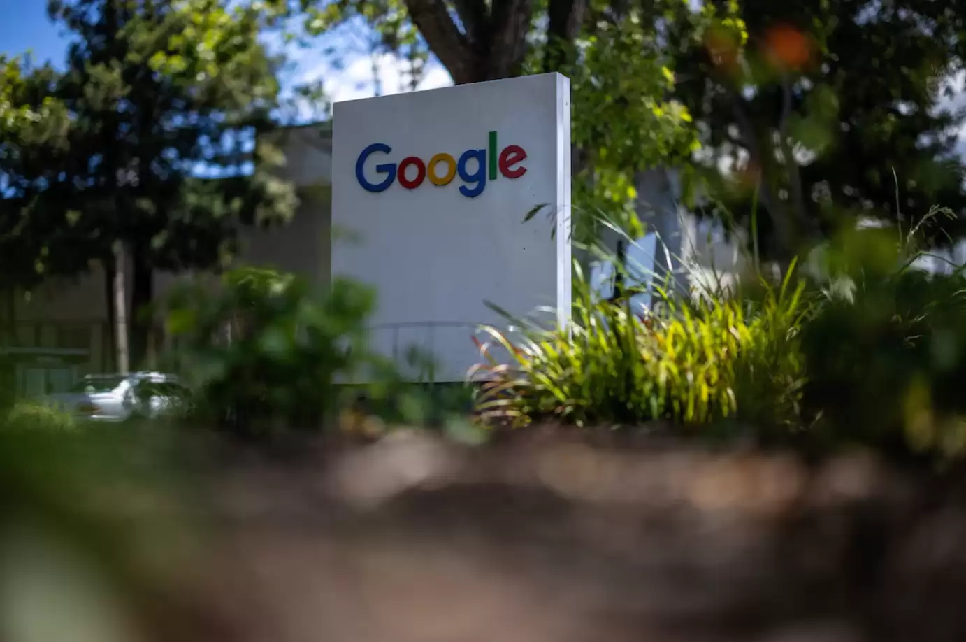 曾揭露硅谷惊天骗局 《纽约时报》记者起诉谷歌、OpenAI盗用书籍训练AI