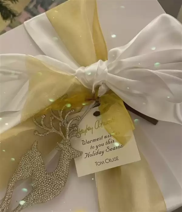 汤姆·克鲁斯的蛋糕