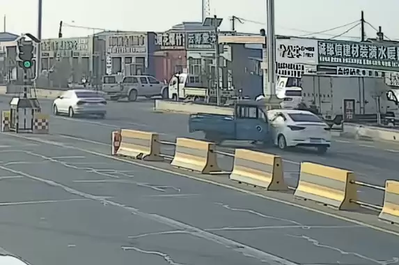 两只狗“合伙作案”开走主人三轮车:撞上一辆轿车