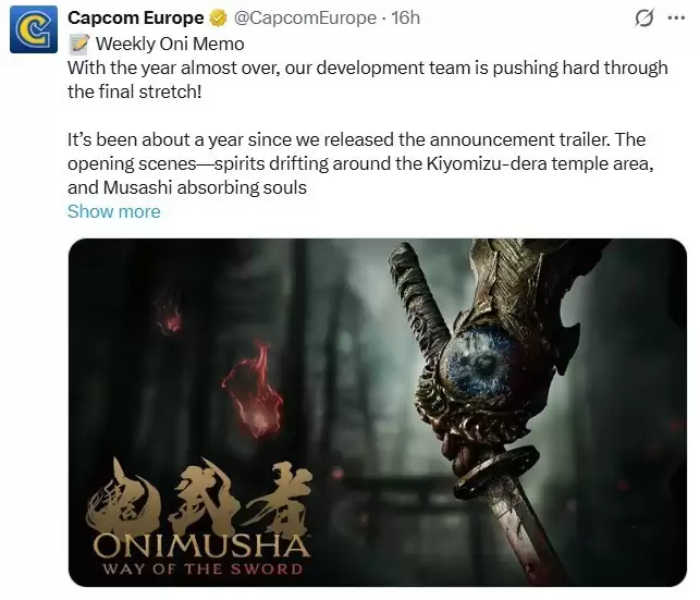 鬼武者:剑之道制作人揭秘开发进展与新预告计划