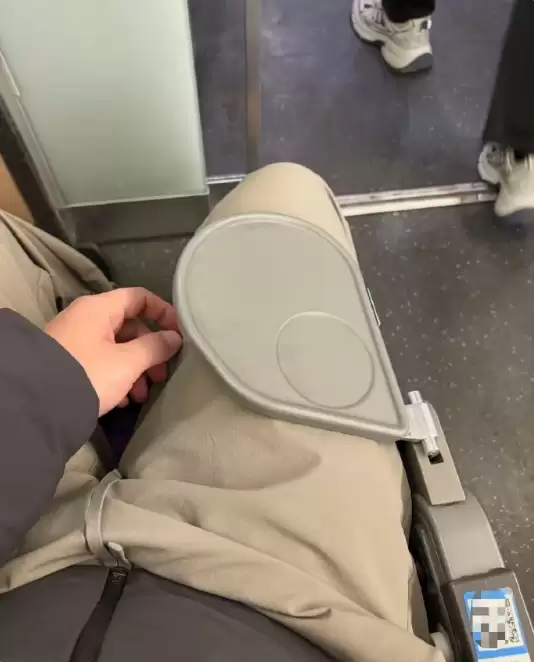 网友吐槽高铁“巴掌大小”桌板 12306回应